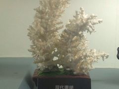 iphone_upload_pic-甘肃地质博物馆