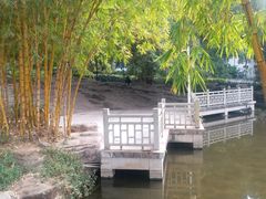 -晓港公园