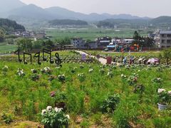 -梁野山景区