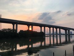 -南沙蒲洲花园