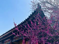 -西安市广仁寺