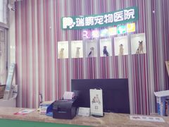 -瑞鹏宠物医院华南总院·夜诊·心脏科·骨科