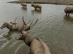 -宁波杭州湾国家湿地公园