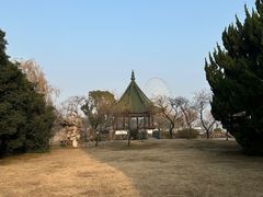 -无锡蠡湖国家湿地公园-蠡园