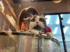 -PETKIT小佩宠物·低压洗护(国顺东路店)