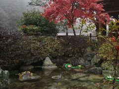 -黄山温泉国际旅游度假区