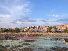 -两河城市森林公园