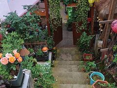 -鱼乐岛餐厅·户外花园主题餐厅