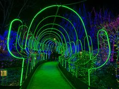 -南宫五洲植物乐园