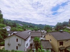 -龙井村