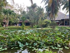-Mekong Rest Stop