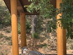 -石家庄市动物园