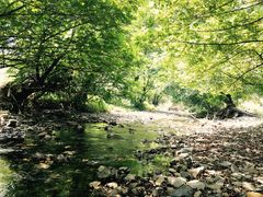 -咸丰县唐崖河景区