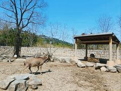 -上方山森林动物世界