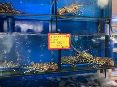 -蚝专家(北滘店)