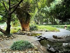 -成都市活水公园