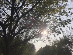 -铁山坪森林公园