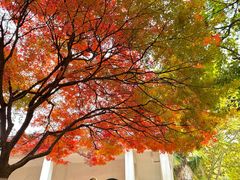 -西安市纺织公园