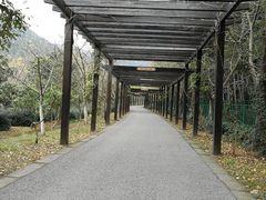 -九龙潭景区