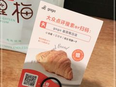 -gaga(深圳南山益田假日广场店)