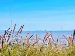 -淇沙湾渔村餐厅