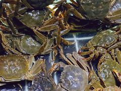 -聚盛源蒸汽海鲜火锅烤肉自助(巨川金海岸购物广场店)