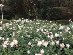 -人民公园(罗湖区)