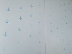 -佰丽爱家全屋定制(汶水店)