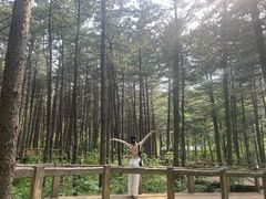-沈阳植物园
