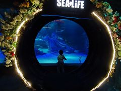 -沈阳海洋探索中心