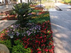 -黑龙江中医药大学