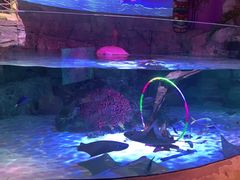 -沈阳海洋探索中心