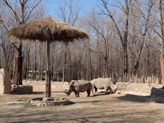 -北京野生动物园