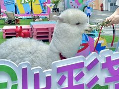 -HALO广场(梨园路店)