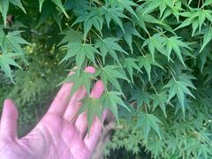 -四川大学(华西校区)