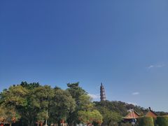 -顺峰山公园