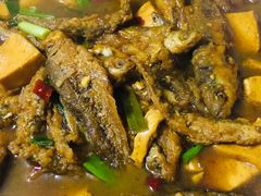 小鱼-炉桥手擀面(金丰易居东方城市花园店)