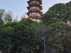 -绳金塔