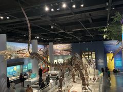 -国家自然博物馆