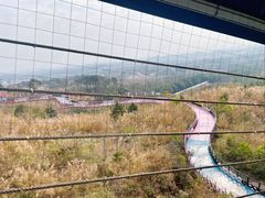 -盈香心动乐园