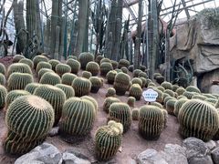 -南山植物园