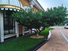 -临沂华盛江泉城大酒店