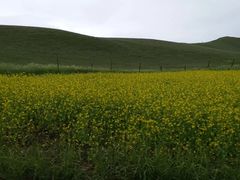 -扁都口生态休闲旅游区