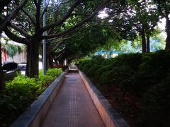 -半山林海