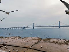 -星海广场
