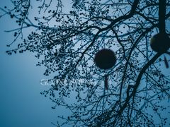 -MOJ coffee(瓯海泽雅水碓坑店)