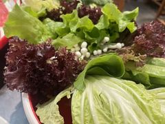 -南门四季铜锅涮肉(左家庄店)