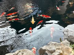-鲤院·新中式美学·庭院餐厅(夫子庙店)