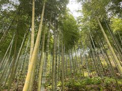 -将军关探险漂流