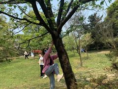 -南山植物园
